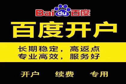 百度竞价排名之成功案例：看广告如何转化为销量